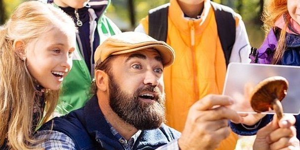 Projektleitung für Zeltplatz Friedensau gesucht!
