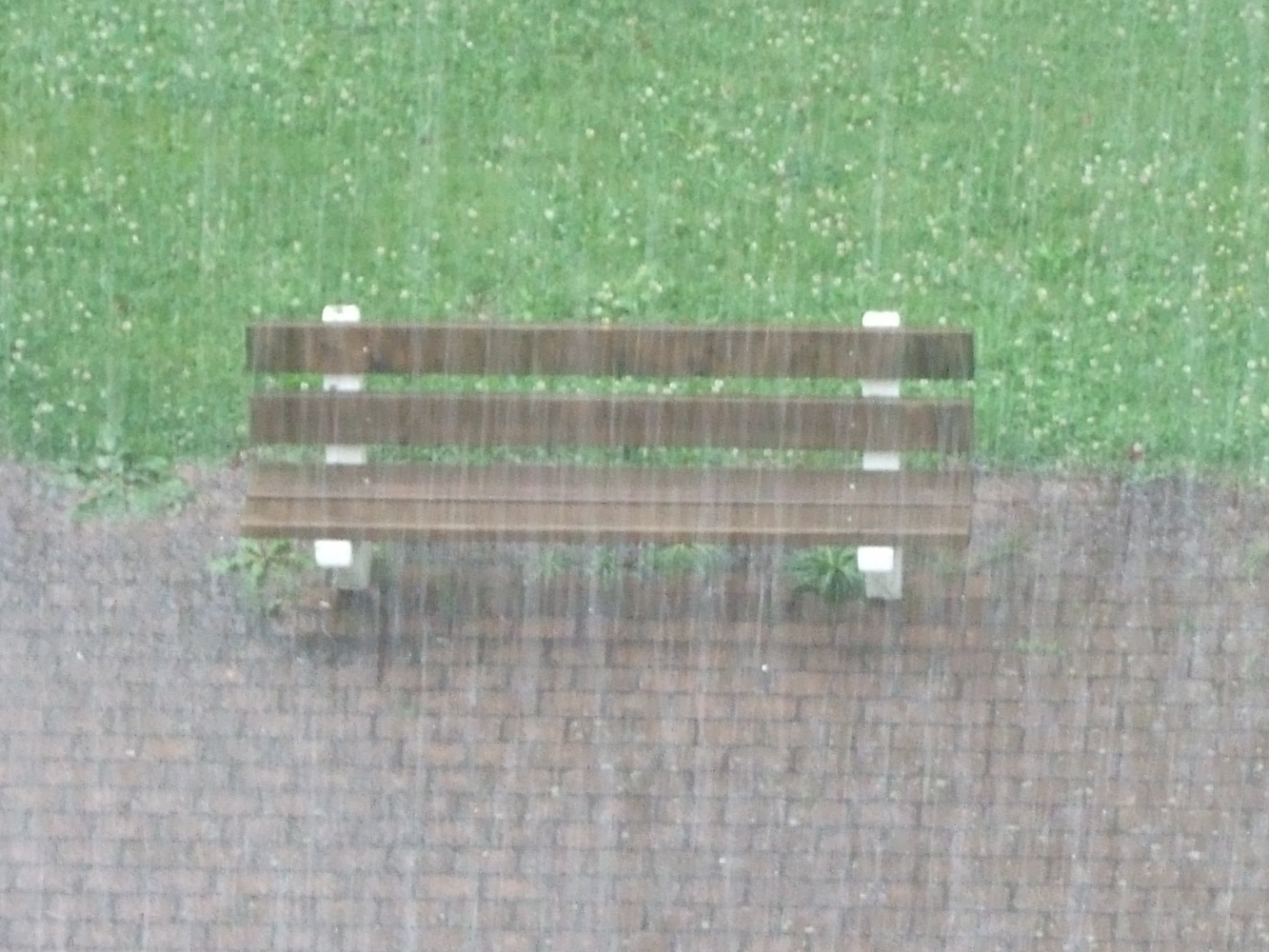 Angedacht - ..., so wie der Regen im Frühling fällt*